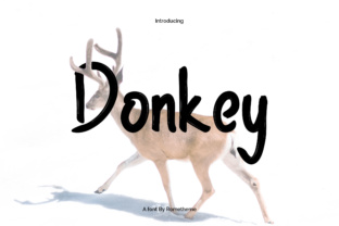 Donkey Font for Bold, Playful Campaigns