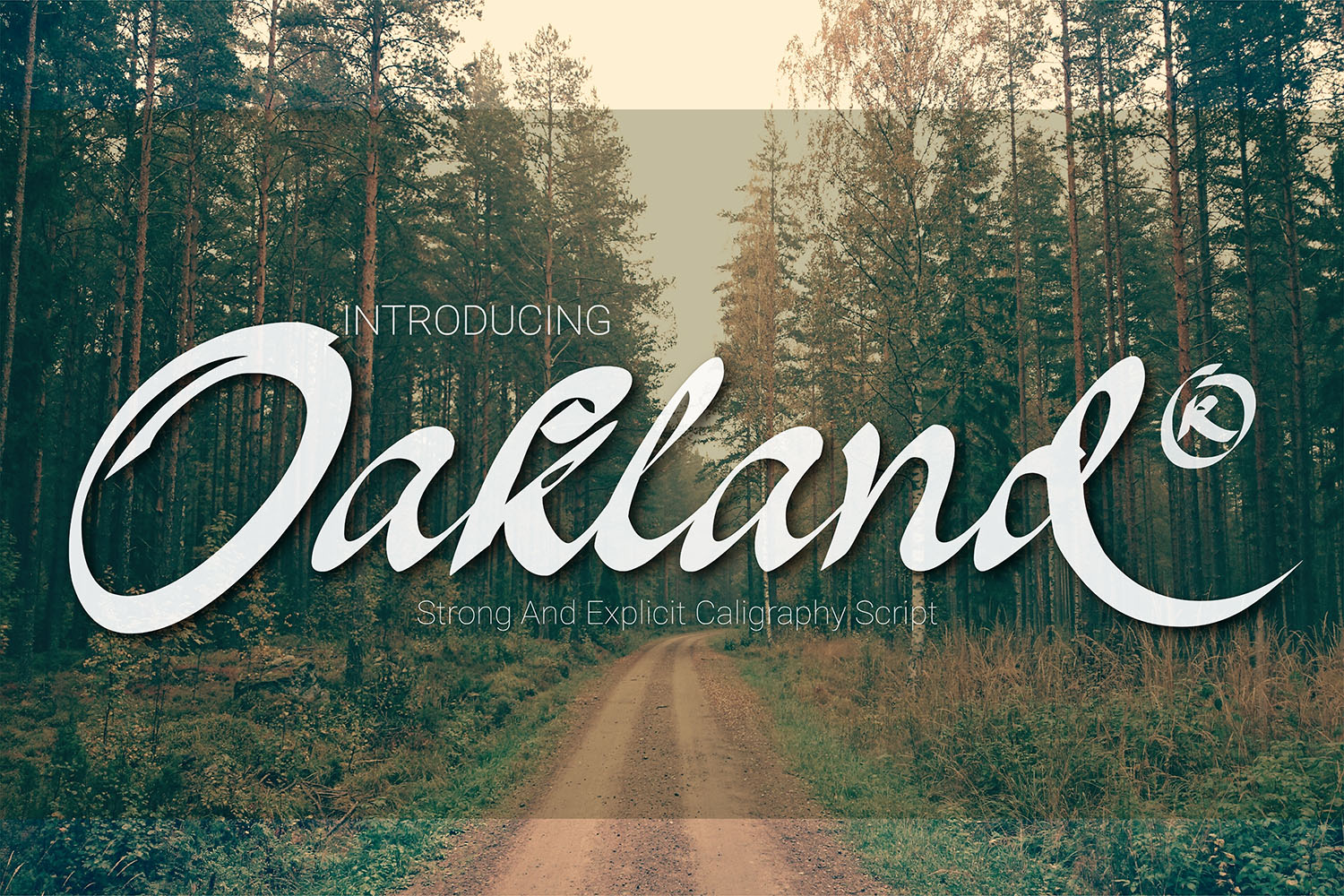 Oakland: A Modern Script Font for Creative Branding and Printables